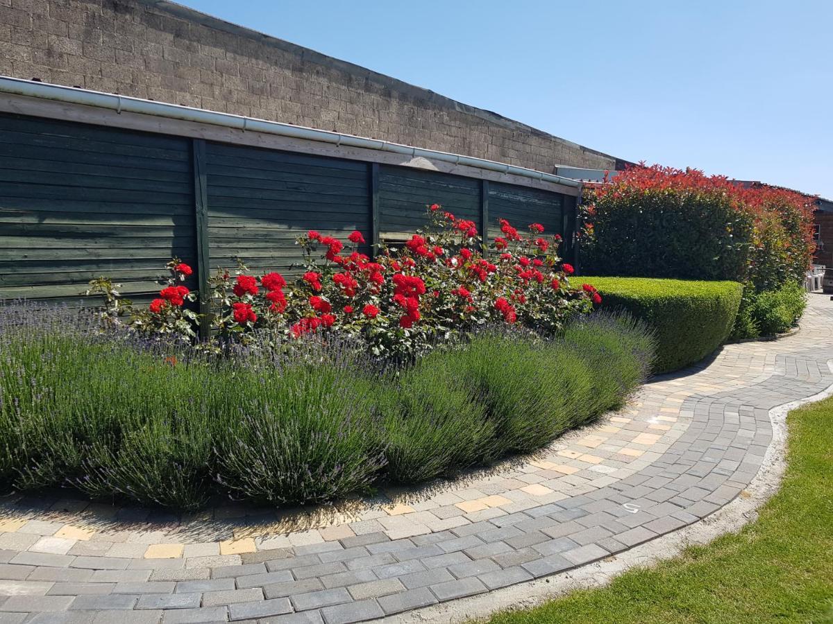 Apartament De Achtertuin Maasmechelen Zewnętrze zdjęcie